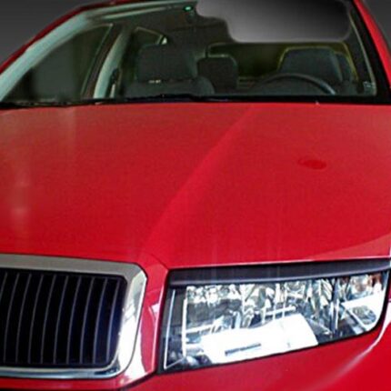 Φρυδάκια Skoda Fabia Mk1 (1999-2007)