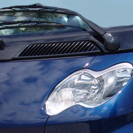 Φρυδάκια Smart 450 (2001-2007)